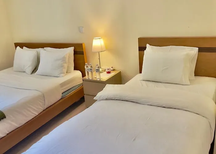 Amor Lisboa Hostel